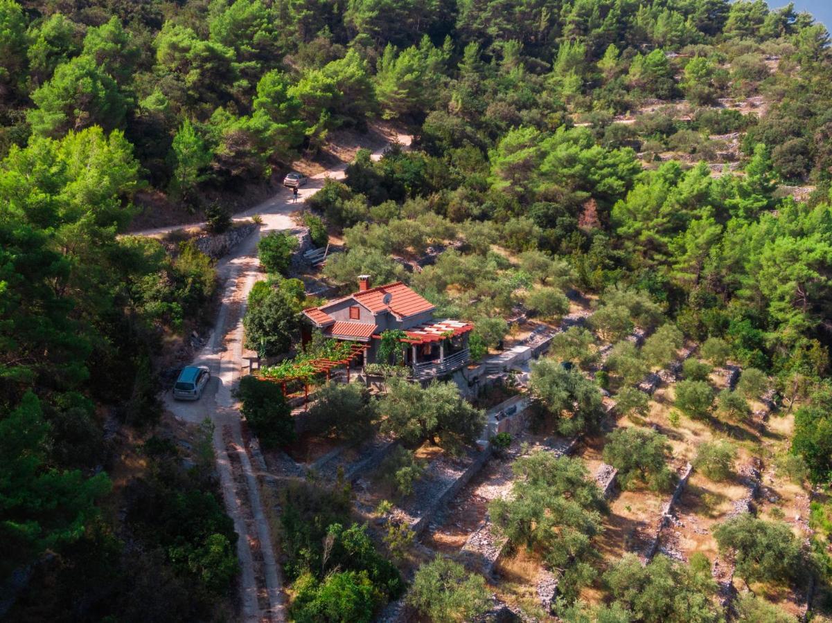 Holiday Home Maslinova Vela Luka Exteriér fotografie